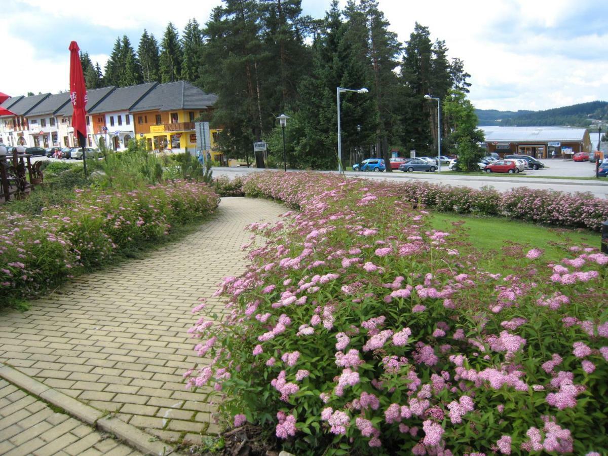 Apartman Riviera Leilighet Lipno nad Vltavou Eksteriør bilde